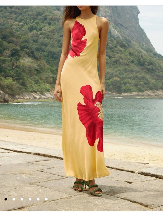 FARM Rio Dresses & Skirts - FARM Rio Yellow Maxi Dress with Red Floral Print